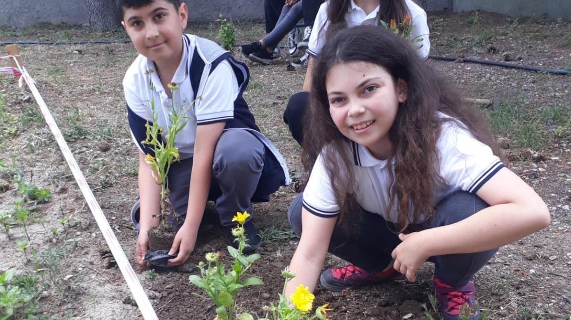 Öğrencilerimizle Birlikte Okul Bahçesi Çiçeklendirildi